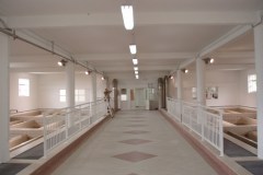 Filterska galerija  PPV "Mojdež" – Herceg Novi Q= 600 l/s